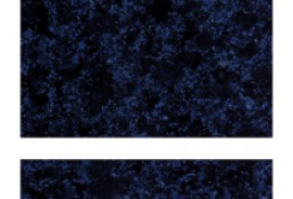 602-572